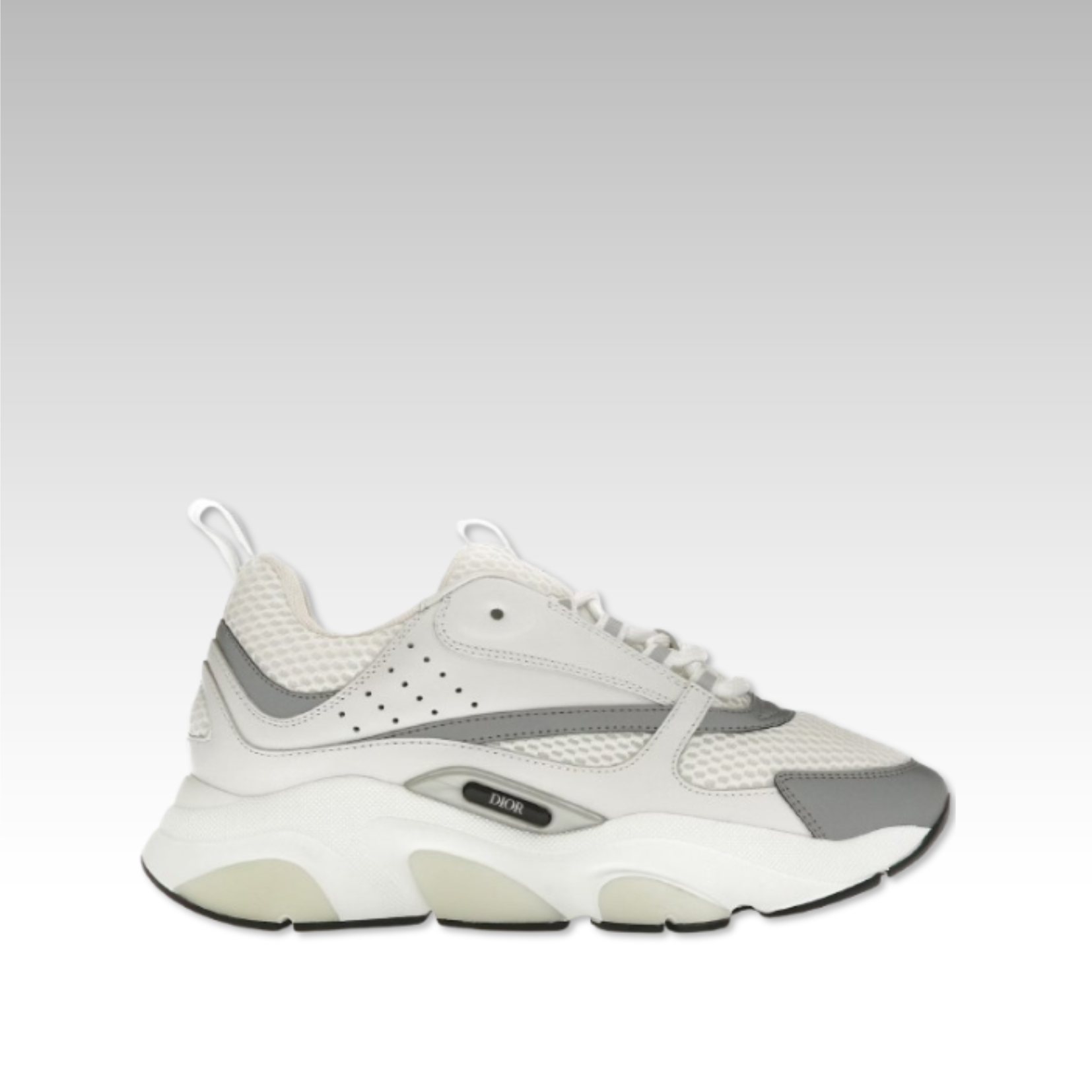 Dior B22 Sneaker