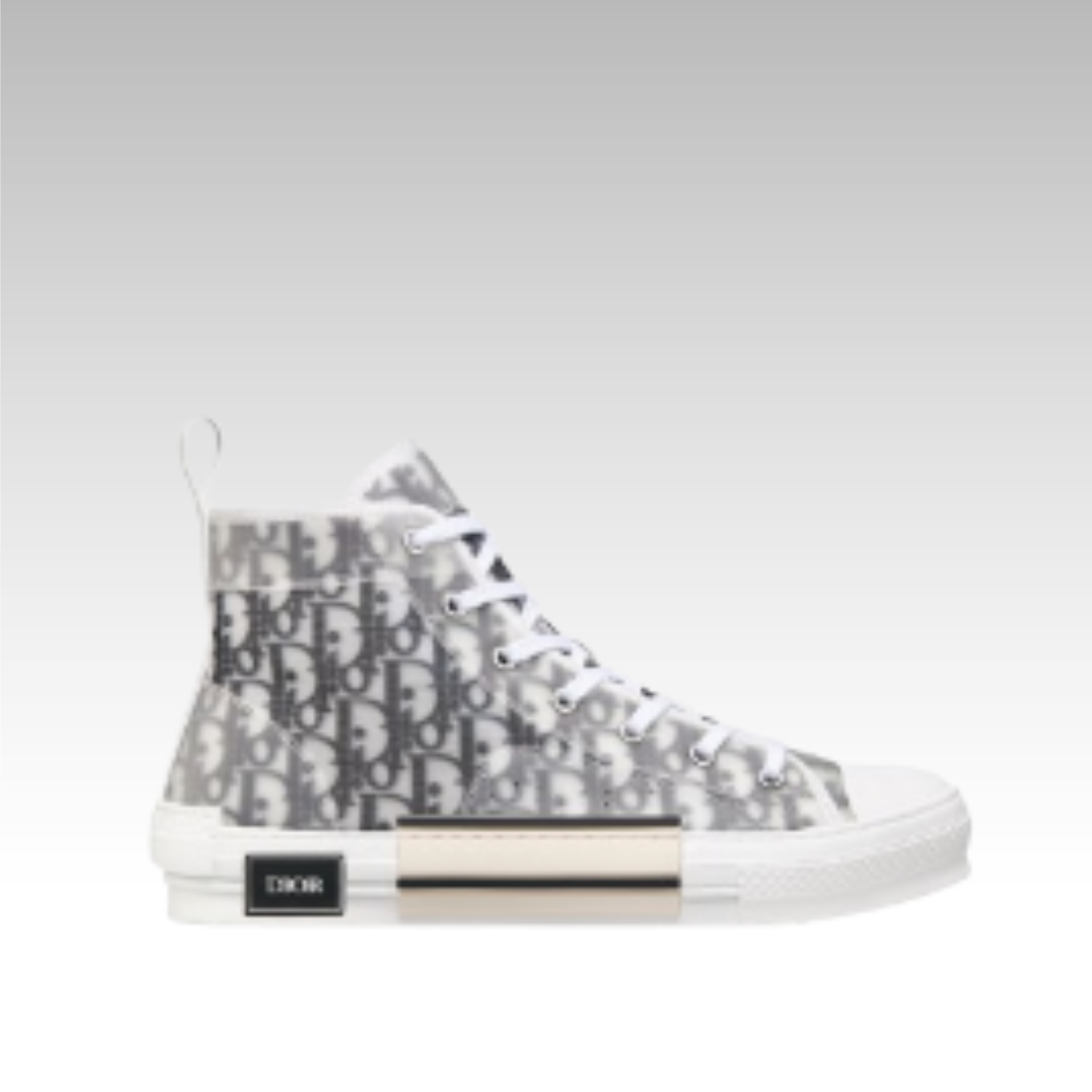 Dior B23 High-Top Oblique Cavas Black/White