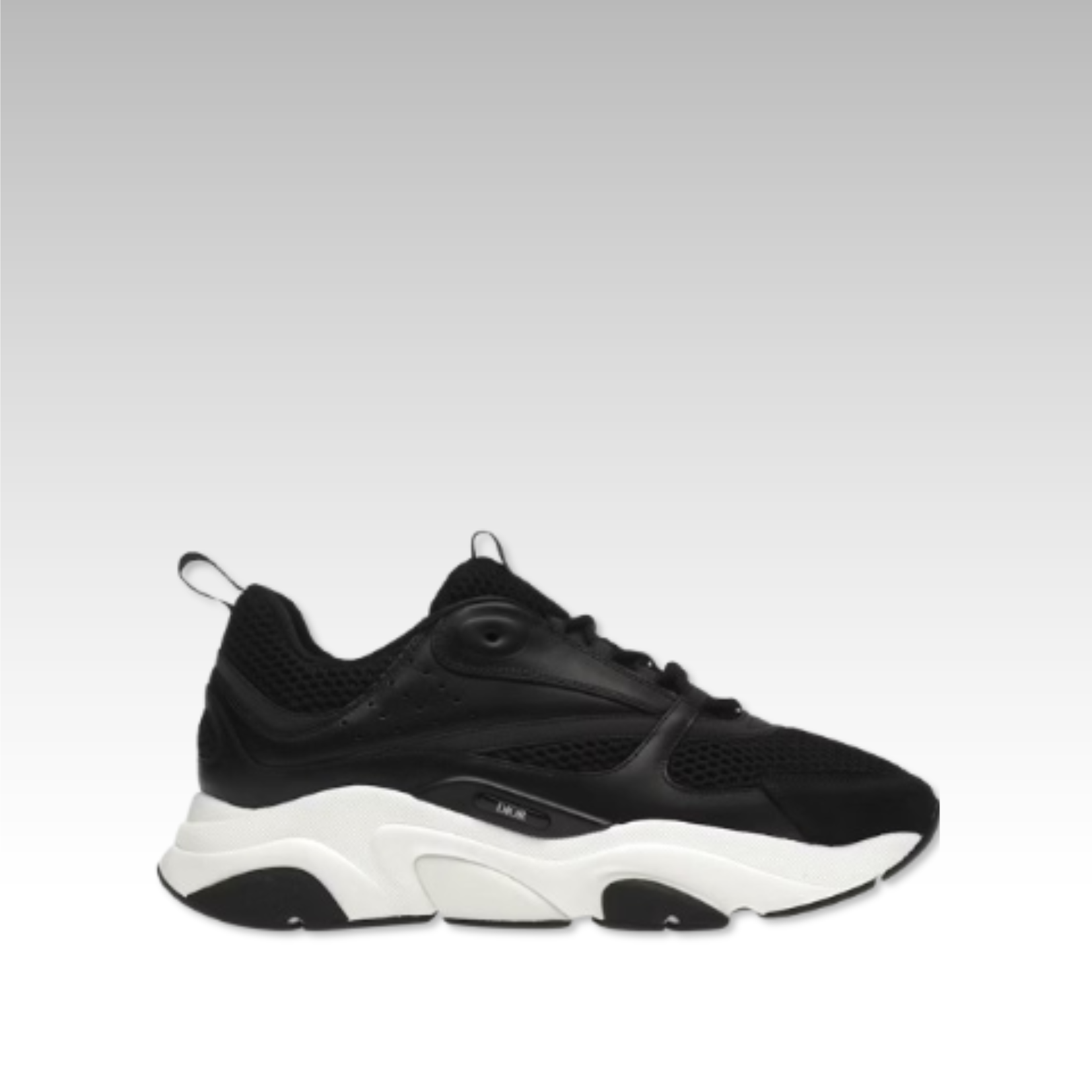 Dior B22 Sneaker Panda