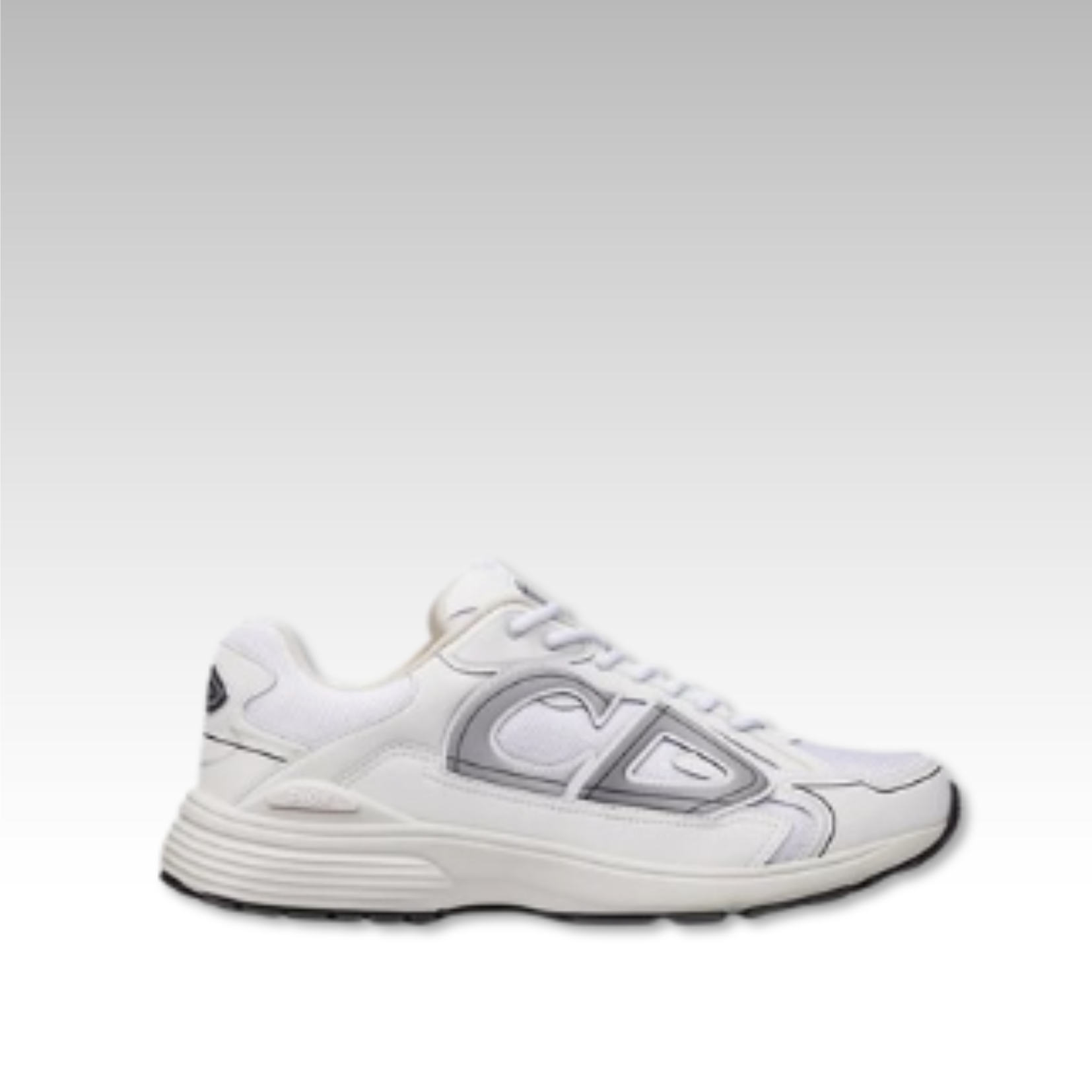 Dior B30 Countdown Sneaker