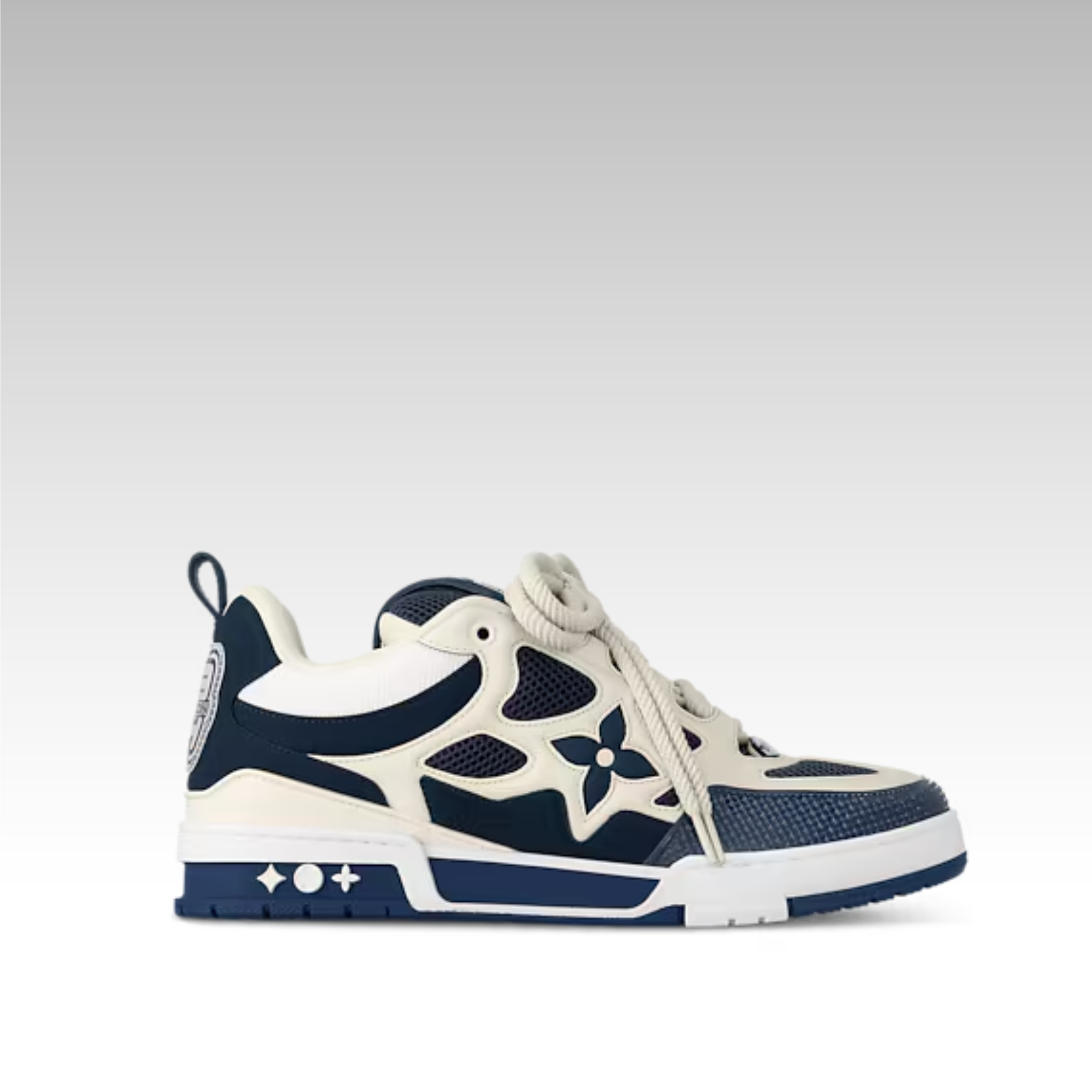 Louis Vuitton Skate Sneaker Blue
